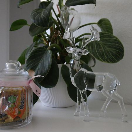 费尔德伯格Haus Anna-Marie公寓 外观 照片